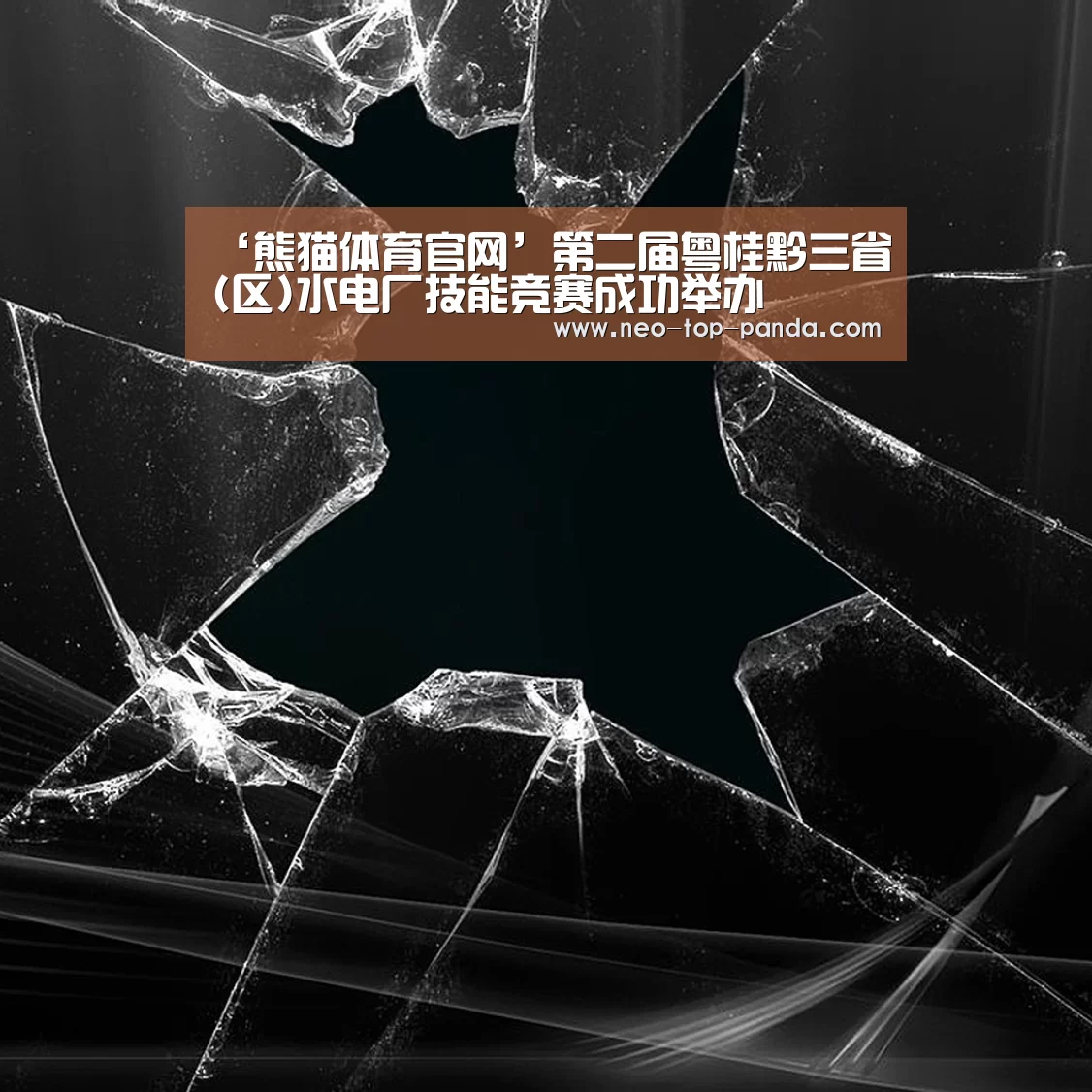 ‘熊猫体育官网’第二届粤桂黔三省(区)水电厂技能竞赛成功举办(图2) 熊猫体育