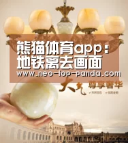 熊猫体育app:地铁离去画面设置曝光 支持N卡毛发和高级PhysX特效(图4) 熊猫体育app