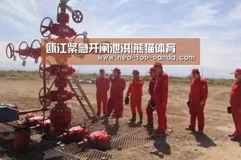 瓯江紧急开闸泄洪|熊猫体育(图3) 熊猫体育app