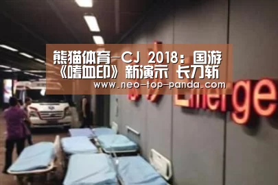 熊猫体育-CJ 2018:国游《嗜血印》新演示 长刀斩刀双重风格(图1) 熊猫体育官网